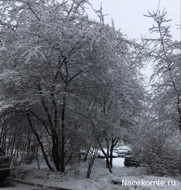 Куклы в народных костюмах – "Девчушки-болтушки"