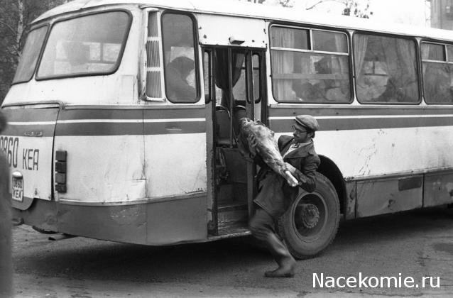 Гаражные посиделки - Болталка-трёп АЛГ