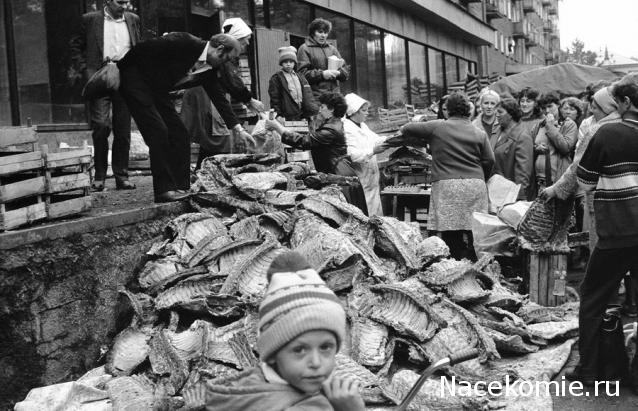 Гаражные посиделки - Болталка-трёп АЛГ