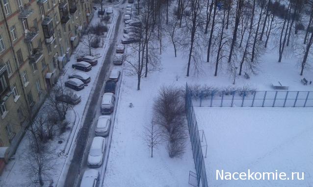 "Живой уголок"