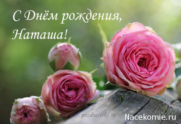 Праздник каждый день - поздравлялка Авторазделов