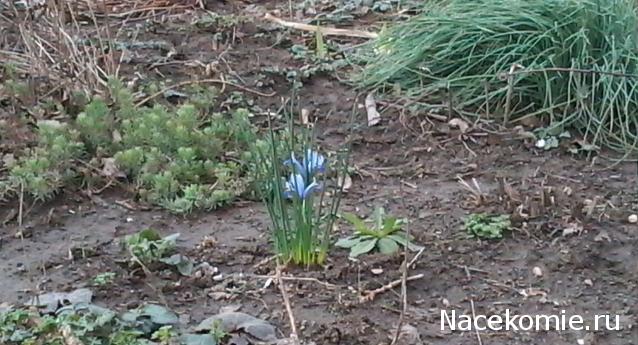 Куклы в народных костюмах – "Девчушки-болтушки"