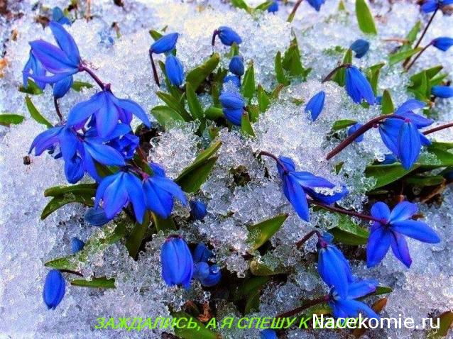 Тракторная болталка