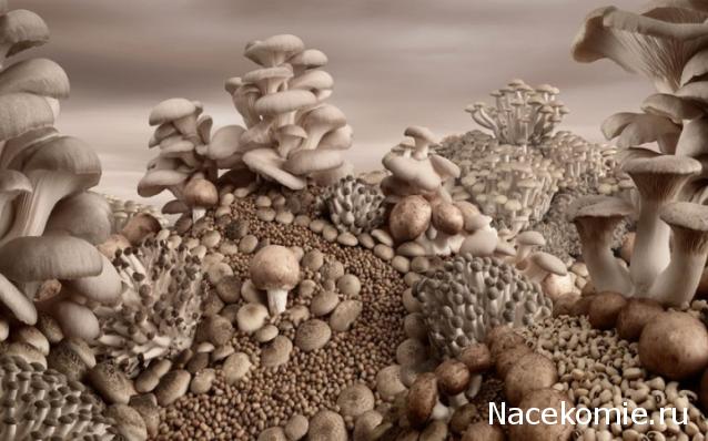 Кулинарный отдел