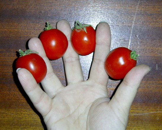 Кулинарный отдел