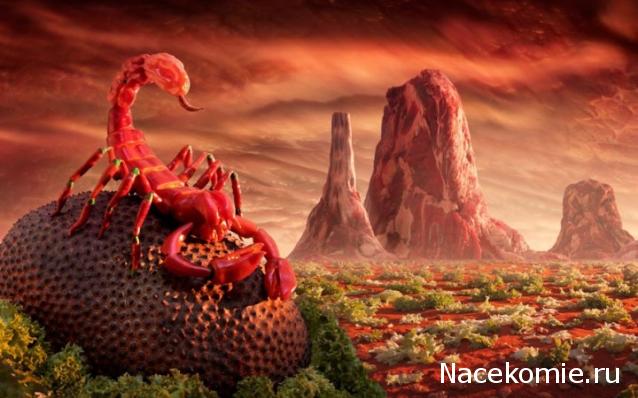 Кулинарный отдел