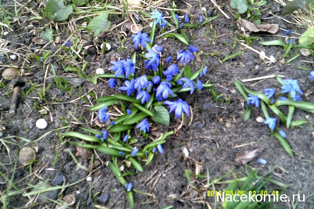 Куклы в народных костюмах – "Девчушки-болтушки"