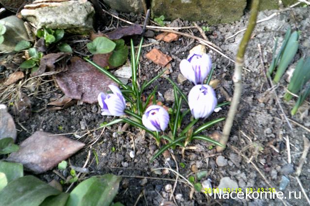 Куклы в народных костюмах – "Девчушки-болтушки"