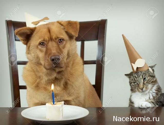 Праздник каждый день - поздравлялка Авторазделов