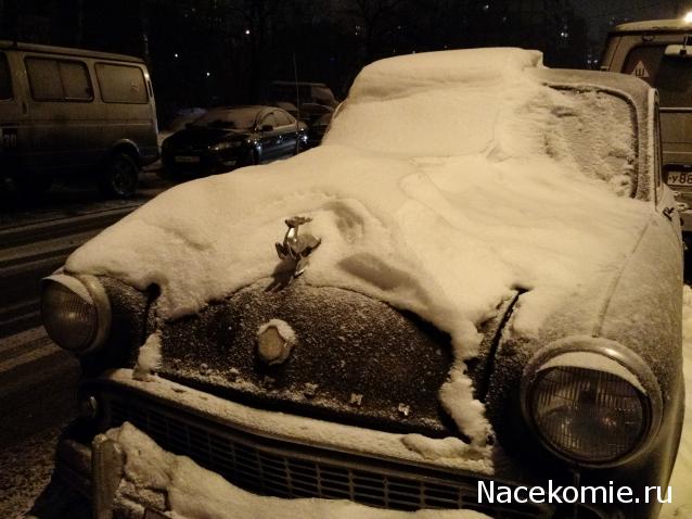 Автолегенды вживую