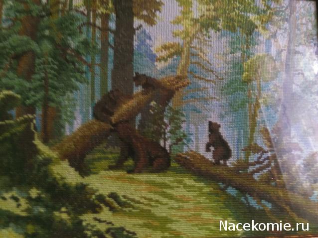 Праздник каждый день - поздравлялка Авторазделов