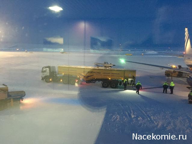 Автолегенды вживую