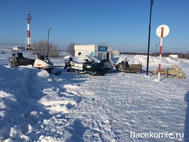 Автолегенды вживую