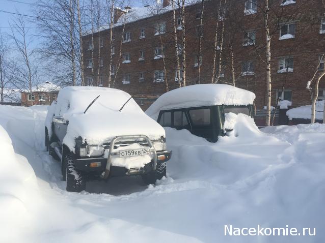 Автолегенды вживую