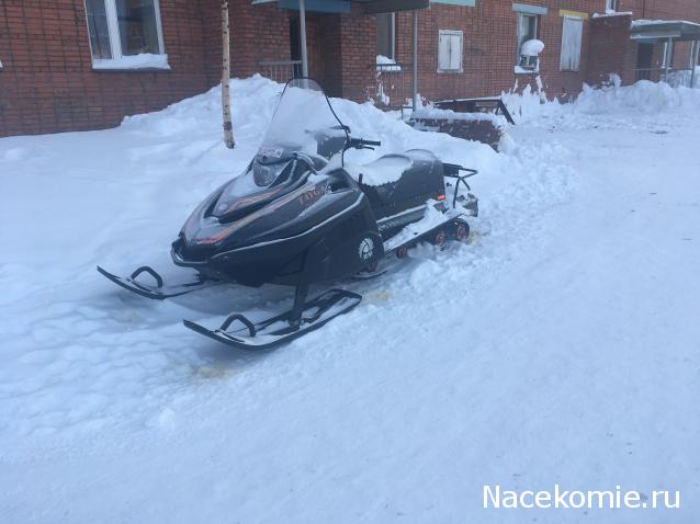 Автолегенды вживую