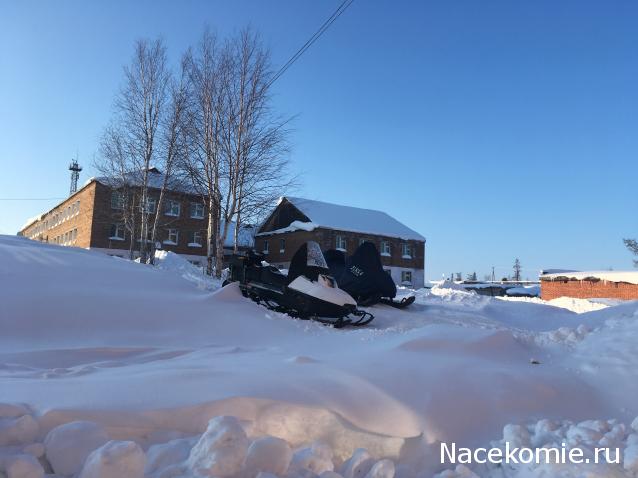 Автолегенды вживую