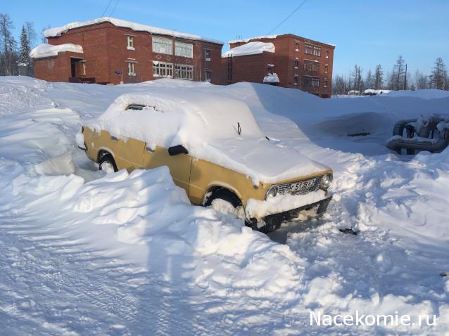 Автолегенды вживую