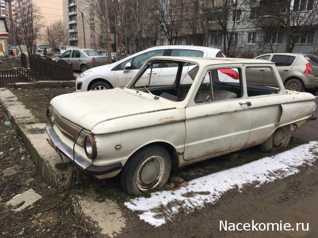 Автолегенды вживую