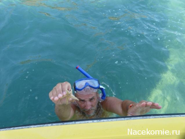 "Живой уголок"