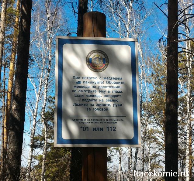 "Живой уголок"