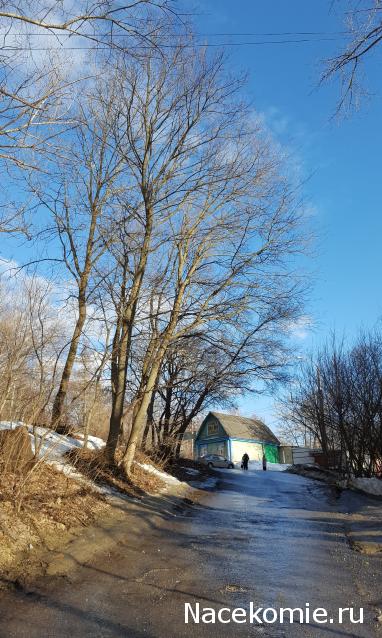 "Живой уголок"