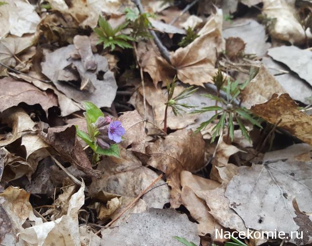 "Живой уголок"