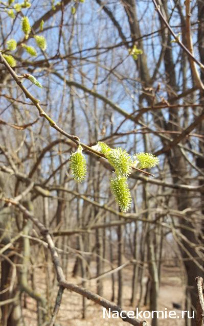 "Живой уголок"