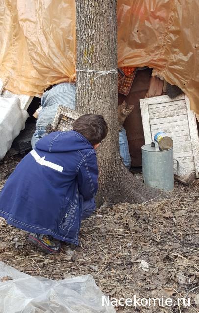 "Живой уголок"