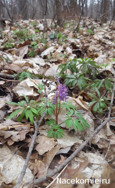 "Живой уголок"