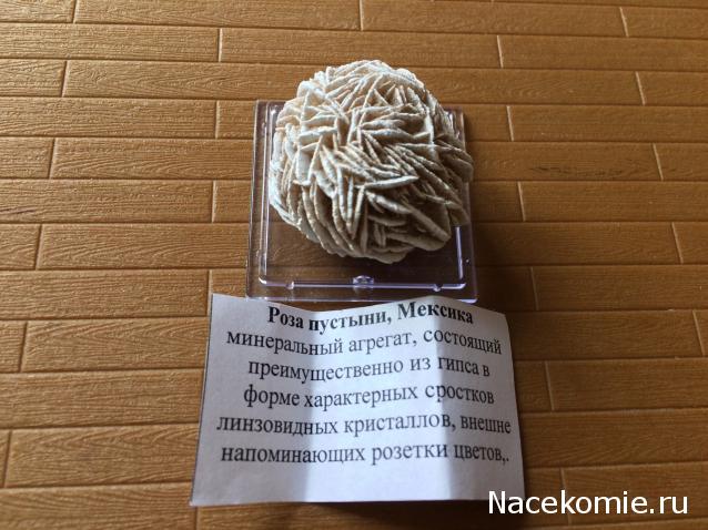 Компания кладоискателей. Болталка форума Минералов