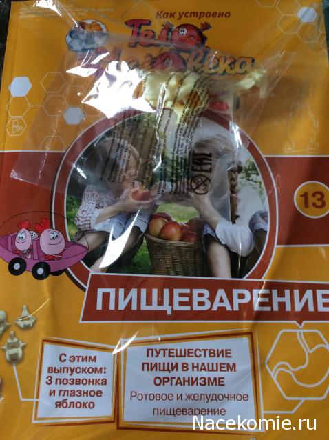 Тело Человека (DeAgostini) - График выхода и обсуждение