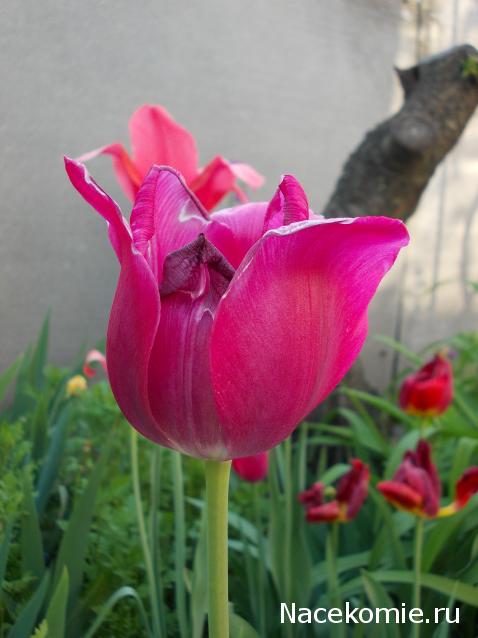 Куклы в народных костюмах – "Девчушки-болтушки"