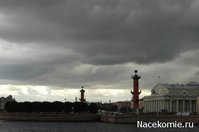 "Живой уголок"