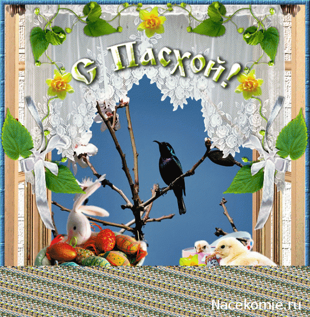 Праздник каждый день - поздравлялка Авторазделов