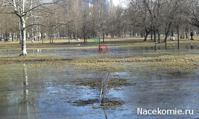 "Живой уголок"