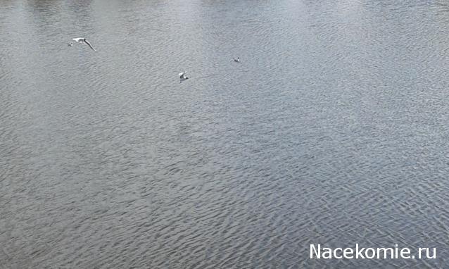 "Живой уголок"