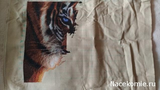 100 крестиков!