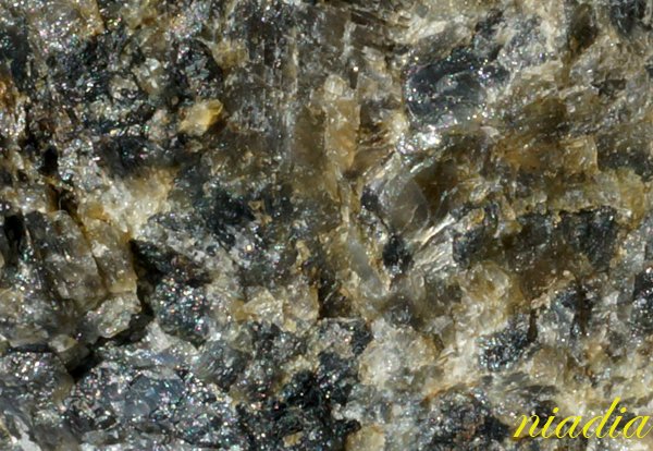 Компания кладоискателей. Болталка форума Минералов