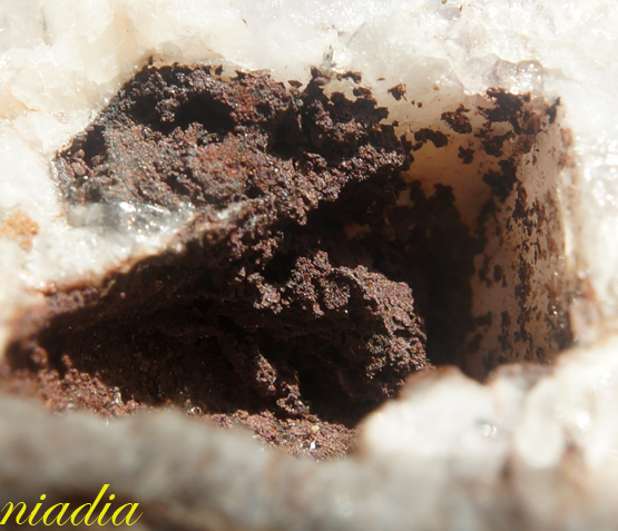 Компания кладоискателей. Болталка форума Минералов