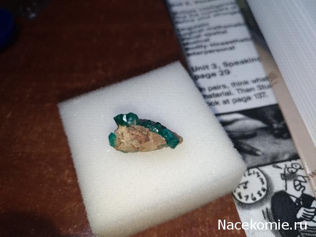 Компания кладоискателей. Болталка форума Минералов