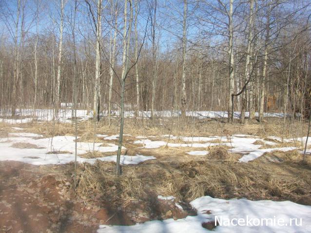 mirumir - Ваня, Валя, Вася