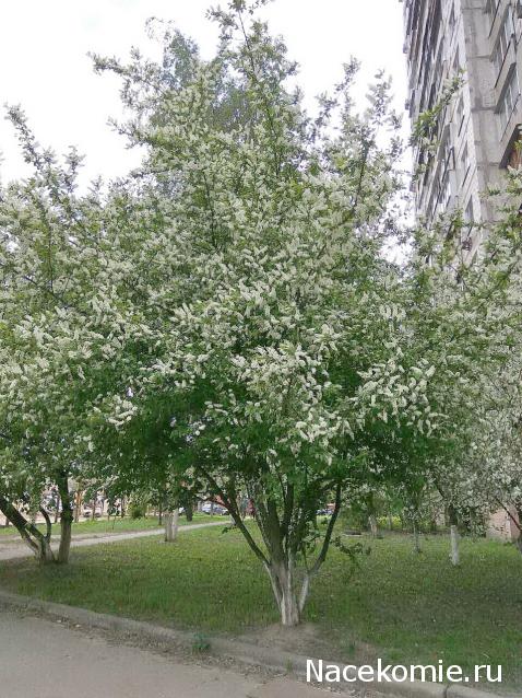 "Живой уголок"