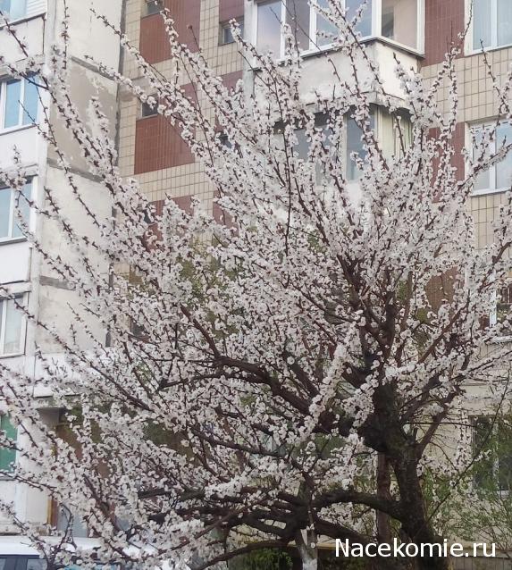 "Живой уголок"