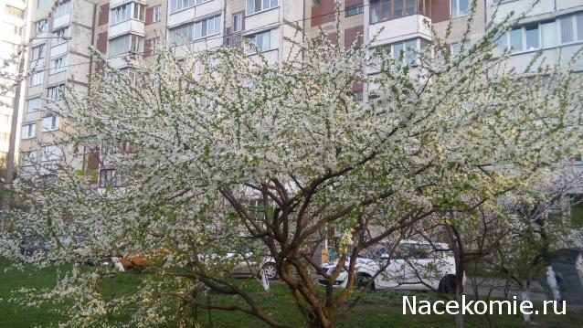 "Живой уголок"