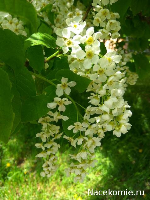 "Живой уголок"