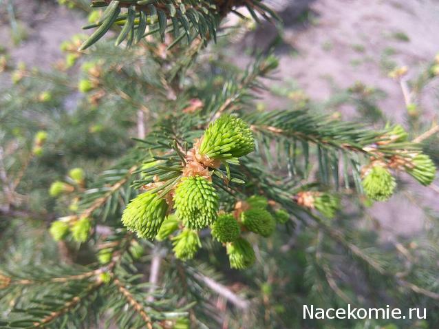 "Живой уголок"