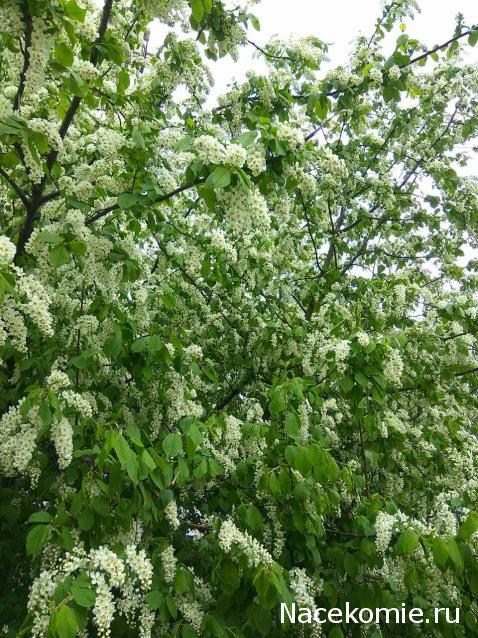 "Живой уголок"