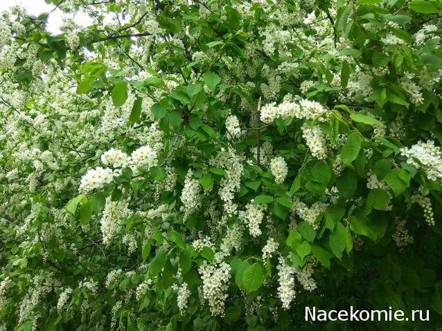 "Живой уголок"