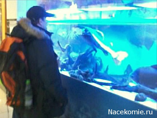 "Живой уголок"