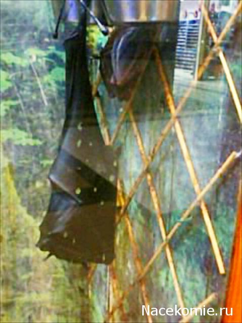 "Живой уголок"